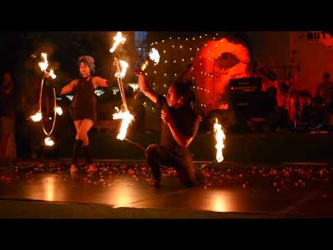Wafi Mall Performance