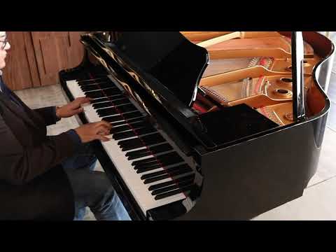 pianist sherioz 5