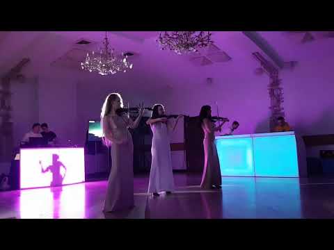 String trio GRAVITATION,Vivaldi Storm