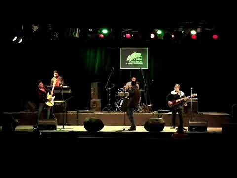 jiggyband 3