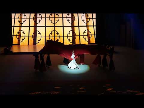 BLADE OF SHADOW at the 40th European Rhythmic Gymnastics Championships gala show