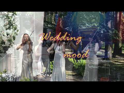 String trio "Gravitation" at the wedding ceremony