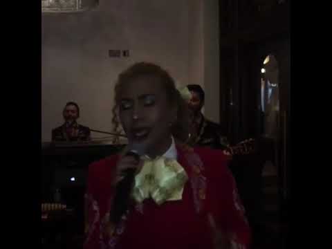 lamulaticimasinger 3