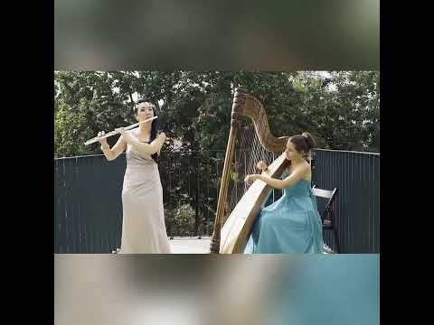 Duo flute and harp