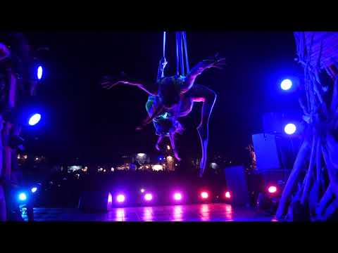 Govinda Envision Festival 2020 Recap "The Psychedelic Garden of Eden"