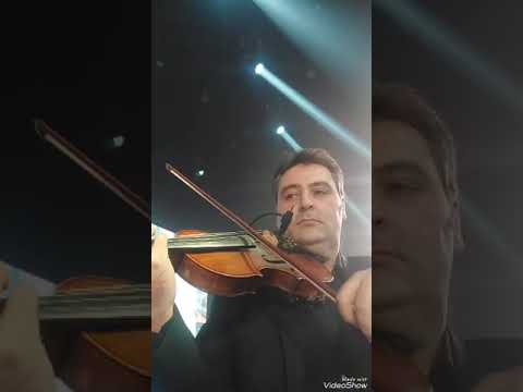 asmar yasmarani
