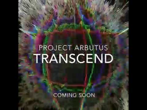 Patterns - DJ Forest Walker - Animation