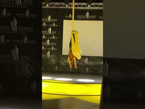 silks
