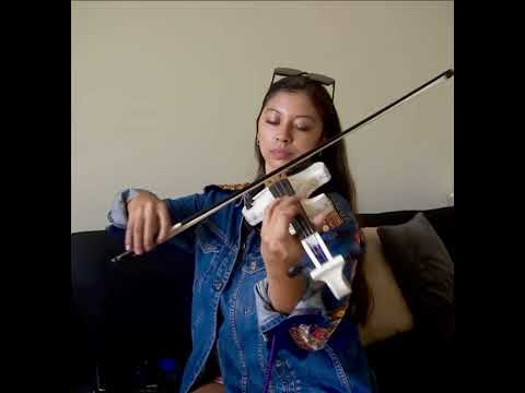 Shape of my heart, Sting. Violin Cover