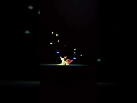 Fireflies Mini Drone Arts