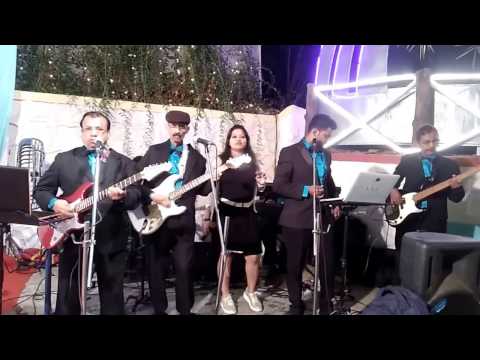 quando quando falcon blues live band