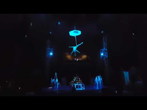 Aerial umbrella - Miss Réka