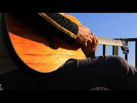 Wild Acoustic Guitar