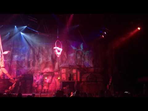 Aerial Hoop