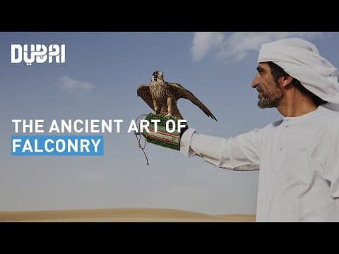 Art of Falconry in Dubai