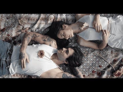 Pinwheel Valley - Willow (Official Music Video)