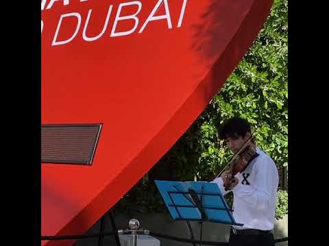 raselviolin 8