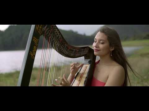 Hijo de la Luna/ harp cover