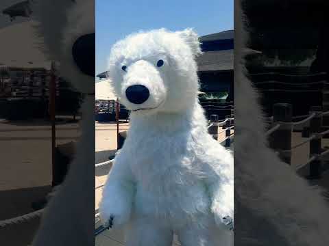 Straight from the Arctic… and ready to party!