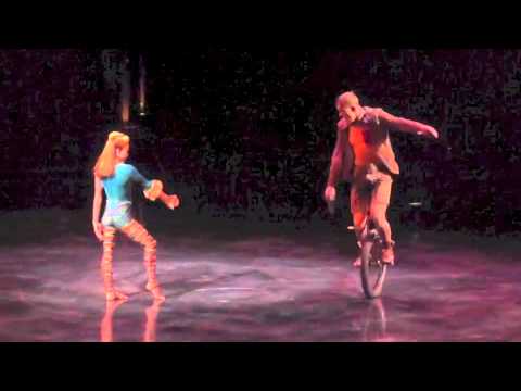Unicycle