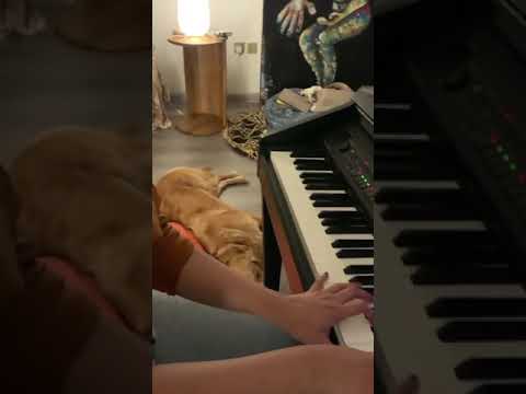 Playing a piece of music on the piano