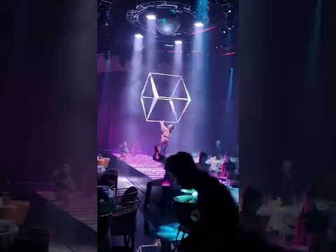 cube 2022
