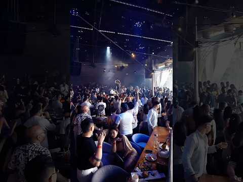 Iris dubai performance