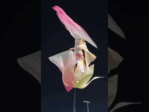 Flower Sway Pole show
