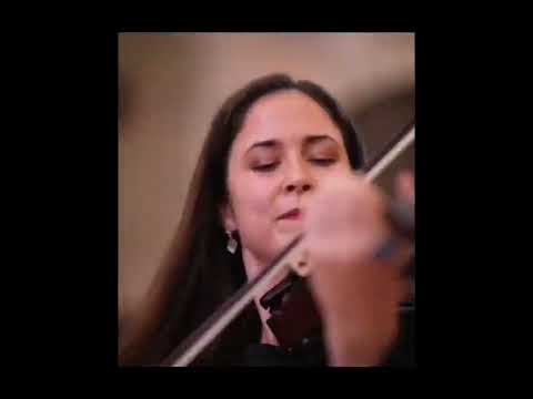 Ena violin