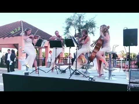 annettehomannviolinist 4