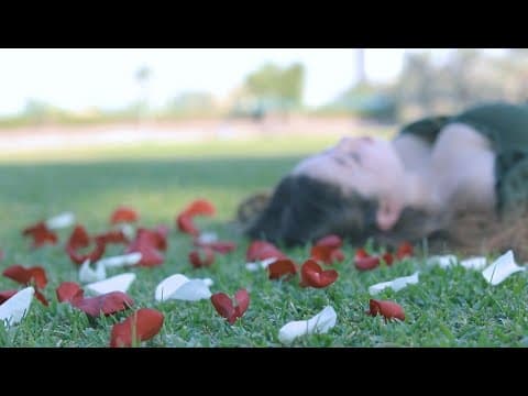 Walter’s Song The Music Video