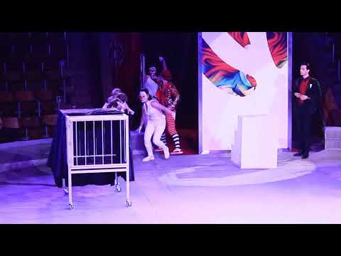 Circus art