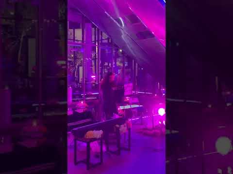Lucie Violin 7