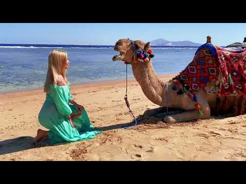 DJ Romanova - Party Loop