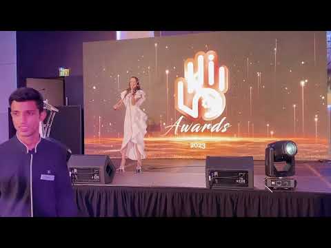 Corporate violin performance
