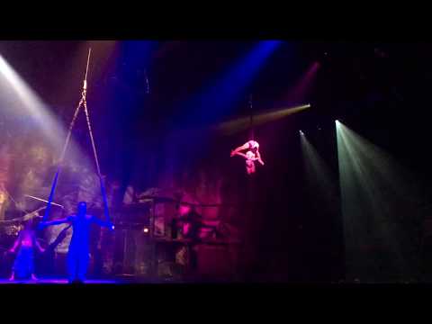 Aerial Strap Claudia Vera