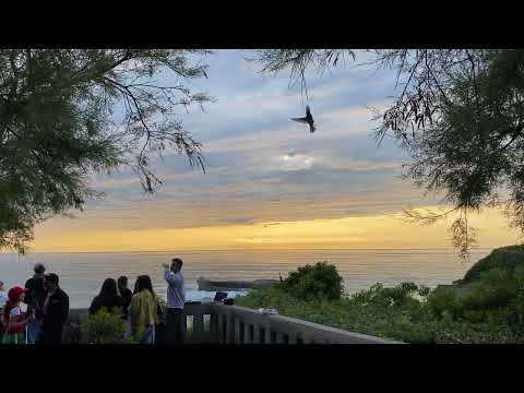 Sunset with friends