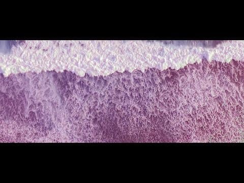 Shébani - Scylla (Official Video)