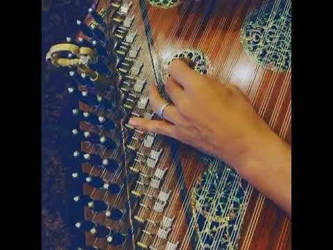 qadiaz85 7