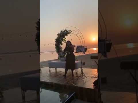 Lucie Violin 6