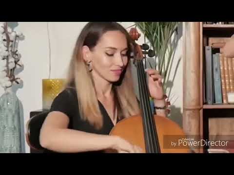 Strings Trio