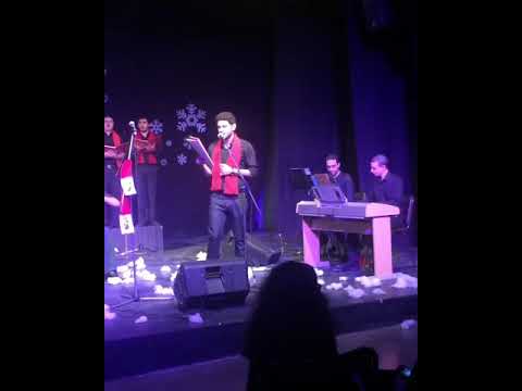 shady sherif habib 4