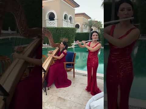 Duo flute and harp