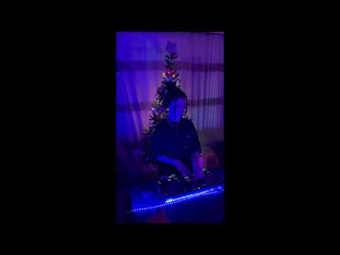 Lena Nikitina new year set 2022