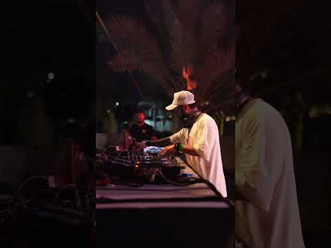 Big party with famous djs