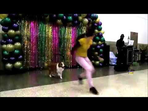 Ohana Dog Show Performs at Fashion, Feathers, and Fur