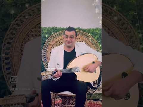 Oud / amr Dhiab