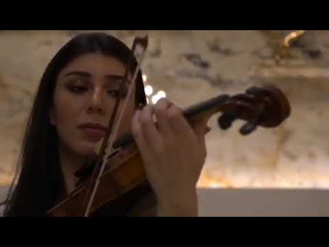 Violinist Nancy