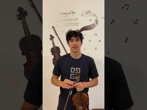 raselviolin 2