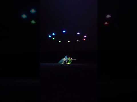 Fireflies Mini Drone Arts